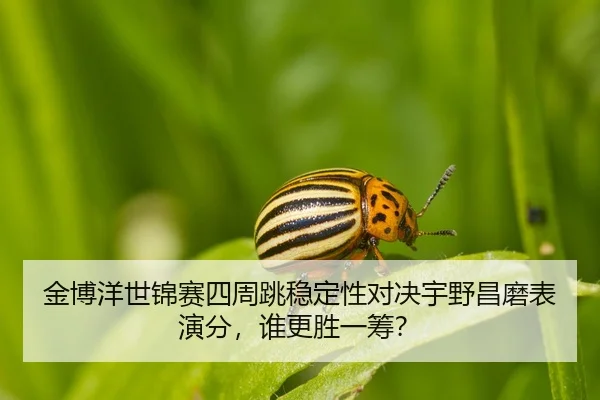 jin-bo-yang-shi-jin-sai-si-zhou-tiao-wen-ding-xing-dui-jue-yu-ye-chang-mo-biao-yan-fen-shui-geng-sheng-yi-chou-2-104.jpg