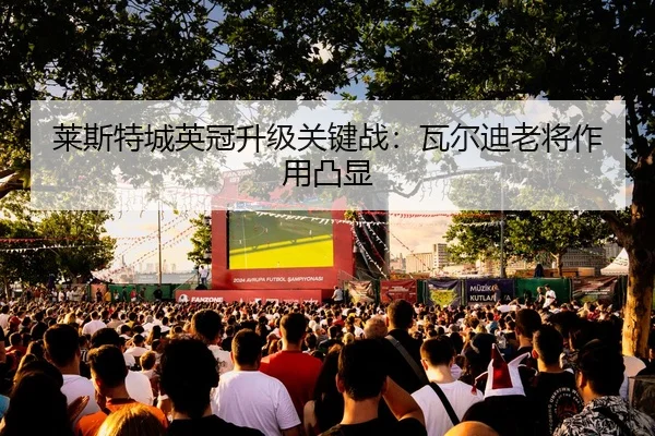 莱斯特城英冠升级关键战：瓦尔迪老将作用凸显