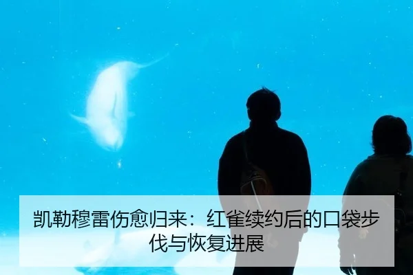 凯勒穆雷伤愈归来：红雀续约后的口袋步伐与恢复进展