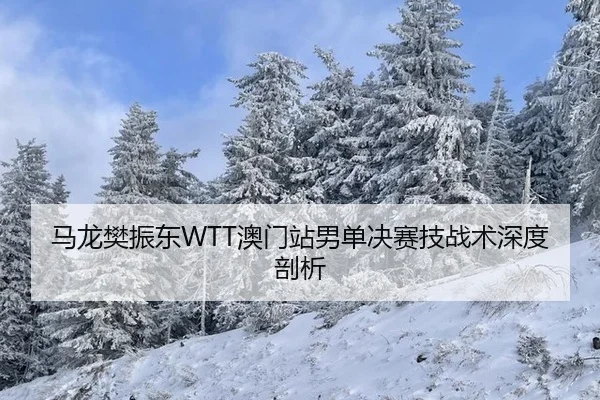 马龙樊振东WTT澳门站男单决赛技战术深度剖析