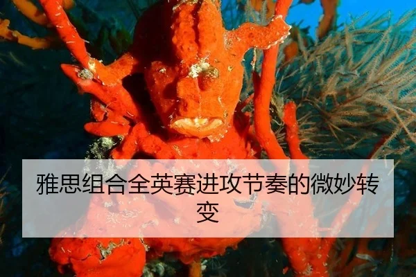 ya-si-zu-he-quan-ying-sai-jin-gong-jie-zou-de-wei-miao-zhuan-bian-3-262.jpg