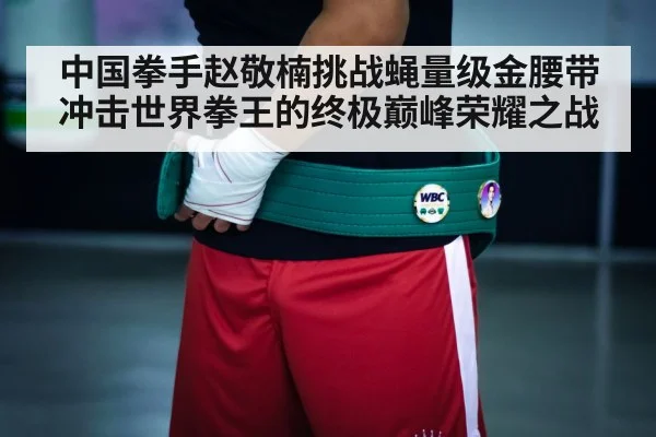 中国拳手赵敬楠挑战蝇量级金腰带冲击世界拳王的终极巅峰荣耀之战