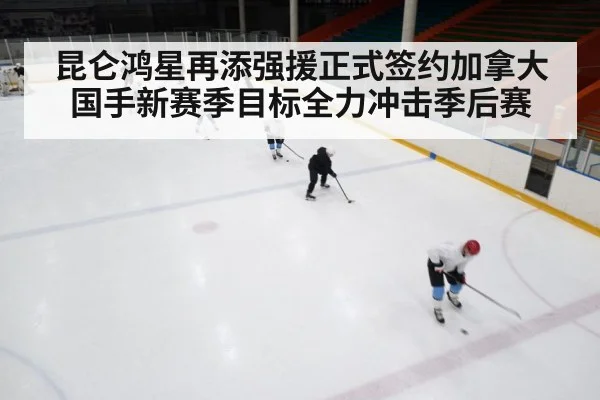 ice hockey rink