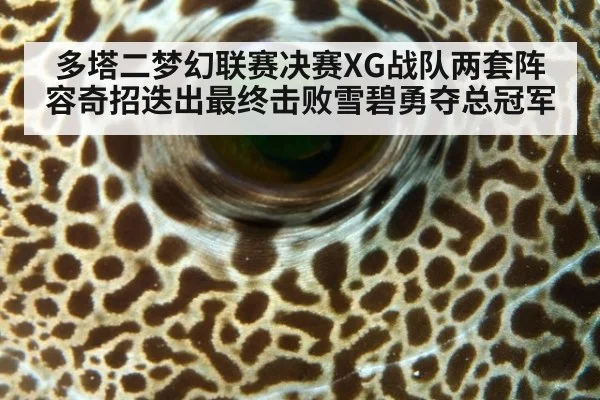 多塔二梦幻联赛决赛XG战队两套阵容奇招迭出最终击败雪碧勇夺总冠军